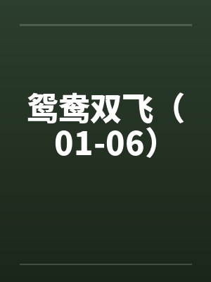 鸳鸯双飞（01-06）