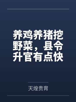 杨少峰的个人简介