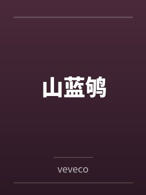 小羽许知意