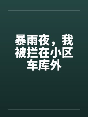 暴雨夜，我被拦在小区车库外