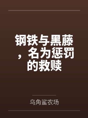 钢铁与黑藤，名为惩罚的救赎